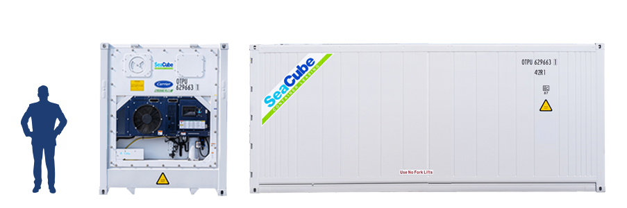 seacube shipping refrigerated container